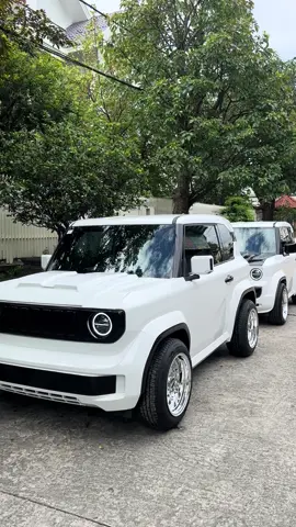 My gu 🥰🥰  #vf3 #quocduongauto 