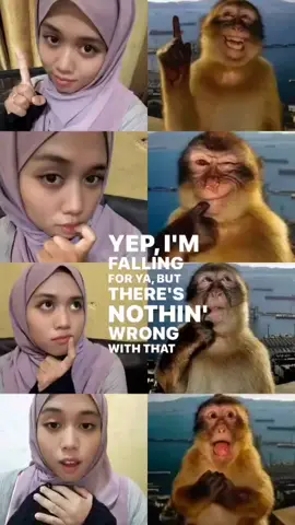 cakepan monyetnya 😭 #fyp #trending #pretty #foto #monyet  @angelinaa 