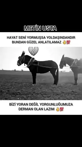 HAYAT SENİ YORUYORSA YOLDAŞIN YANLIŞTIR.