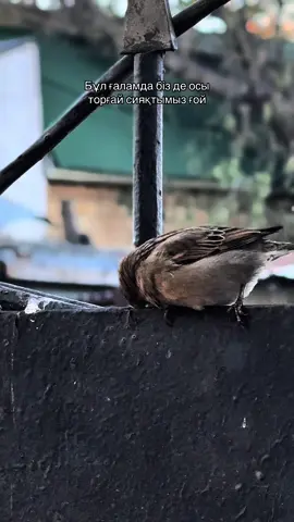 #рекомендации #рек 