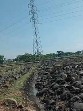 panase derrr #ngiwomadang #ngiwomadangbayaran #drivertaktorngawi 