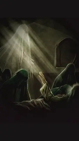 #FunkNoCapCut #Funk #CapCut #امیرالمومنین  💎❤️🫶من کنت مولا فہذا علی مولا 