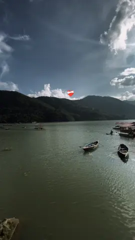 ❤️‍🩹🫀#why #whyme #nature #fyp #tranding 