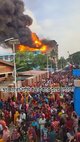 আবার ও হাজার হাজার শ্রমিক বেকার হয়ে গেলো।🥹🥹