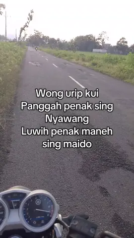 Panggah penak sing nyawang