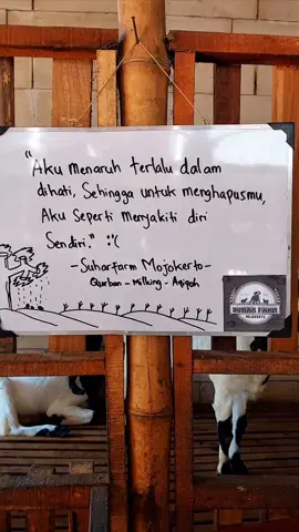 terlalu jeru 🥀 #lyrics #liriklagujawa #liriklagu #sadvibes #sadsong #sadboy #4upage #jawasad #jawapride #galaustory #fypシ゚ #fyp #xyzbca #suharfarmmojokerto #mojokerto24jam 