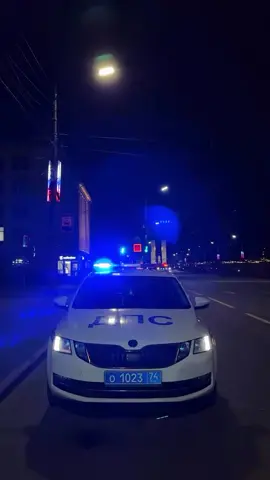 #госавтоинспекция #дпсгибдд🚔 #🚔 #гаишники #шкода 