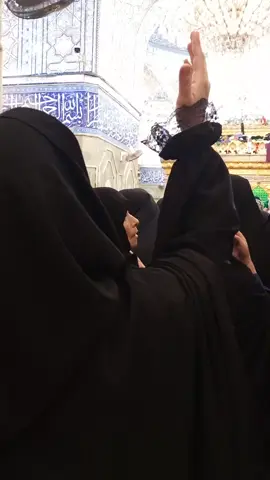 كل مره من بعيد ادعي وتحلها هالمره للشباج جايب حملها ياابو فاضل تعبوني والحجي دك بالعضم وانت مهضوم ع زينب وتعرف بالينهضم 😔#