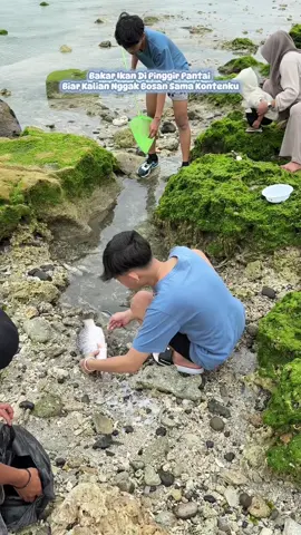 Bakar ikan di pinggir pantai, biar kalian nggak bosan sama konten jualanku🥹🫶 #noelbnsr #adayinmylife #fyp #masukberanda #berandatiktok 