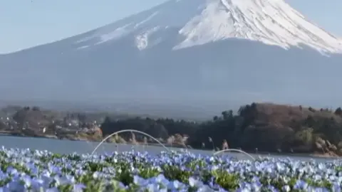 #MountFuji #Jepang #kenshuseijapan🇯🇵 #日本 