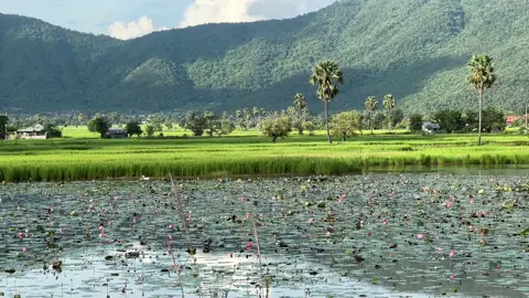 #ខ្ទមស្រែ #ស្រុកស្រែ #កូនអ្នកស្រែ #ជនបទ #កូនអ្នកកំពង់ស្ពឺ 
