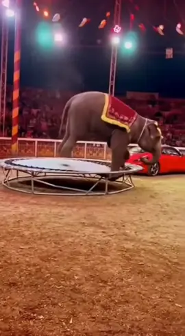 #humor #videoviral  #paratiiiiiiiiiiiiiiiiiiiiiiiiiiiiiii  #videosgraciosos  #humorlatino 