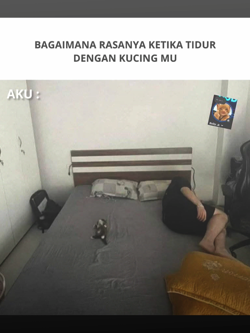 😹😹 #jjmeme #memefb #memekucing #fyp #lewatberanda 