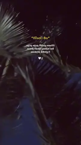 🤍 #Foryou #fyppppppppppppppppppppppp #wadan #viralvideo#status #trending #srilankan_tik_tok🇱🇰  #fypシ゚ 