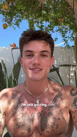 In such a situation, I wouldn’t try to copy my push-pull-legs split. If you train four days a week or more, split your workouts into upper and lower body. If you train two or three, do full body each time - just reduce the volume a little or skip one or two smaller movements.