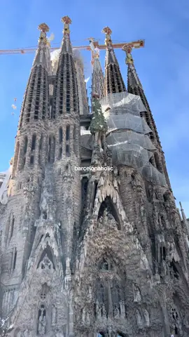 forever will be falling in love with the most incredible city #barcelona #visitbarcelona #studyabroad #abroadlife #spain 
