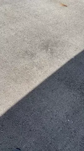 see you next time ahjussi JI CHANG WOOK in sumba lagi 🥰🙏🥹🤗❤️❤️❤️❤️❤️#jichangwook #trending #fyp 