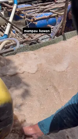 Begoyor spradikk 🔥🔥 #promoseruweekend #timahbangkabelitung #bangkabelitung #viral #fyp 