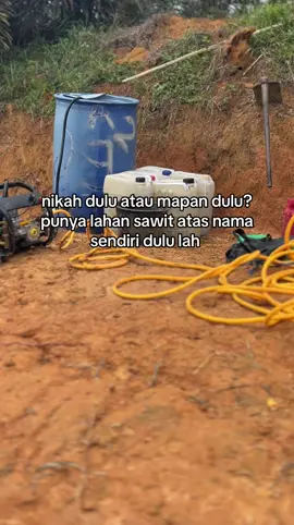 #sawitontiktok #sawit 