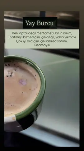 #yayburcukadını #burçlaragöre #yay #yayburcu #burc 