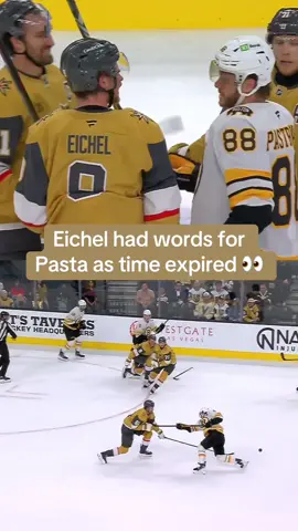 #NHL #hockey #VegasGoldenKnights #BostonBruins #hockeytiktoks 