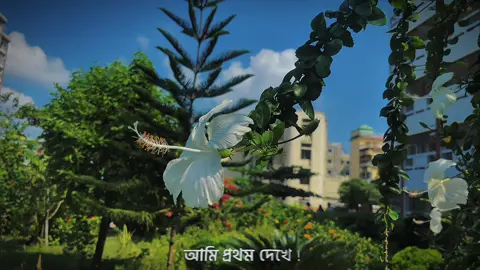 আমি প্রথম দেখে পাগল হইলাম মন তো আর মানে না…!!🥹❤️‍🩹#foryou #foryoupage #fx_shawon #fxkiron #trending 