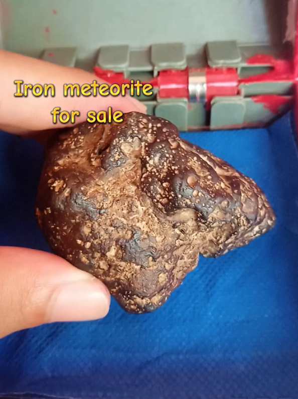 “This isn’t just a rock… it’s a 4.5-billion-year-old meteorite! 🪐#Meteorite #SpaceRock #ForSale #RareFind #Collectibles 
