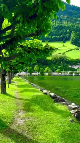 #الهم_صلي_على_محمد_وأل_محمد #لایکوو_فۆلۆم_بکەن_بۆ_بەردەوام_بوون #rasty_lak #fyp #foryourpage 