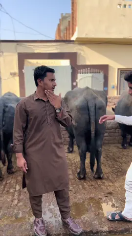 #comedy #funny #humor #lol #lmaoao😂😂😂😩 @عبداللہ کھوکھر 