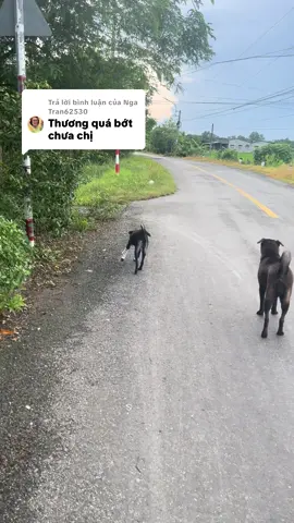 Trả lời @Nga Tran62530 