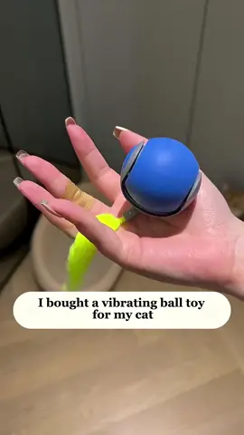 Buy 2 get 1 Your cat won’t stop chasing this 😻💨 Speedy Tail 2.0 = endless fun guaranteed Order Now at speedytail.com #online #shopping #onlineshopping #fyp 
