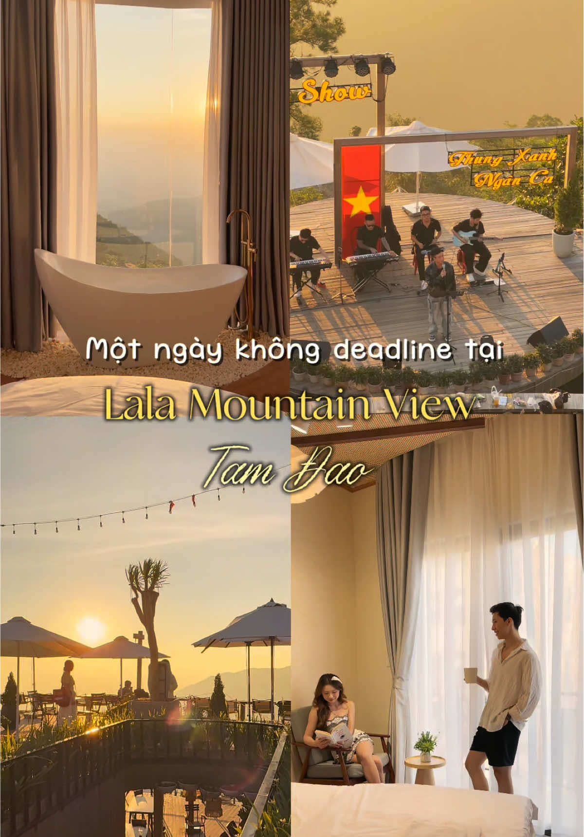 Đặt lịch tới Lala ngay thui cả nhà uiii 🥰🥰🥰 #xuhuong #homstaytamdao #lalamountainview #dulichtamdao #lalaland 