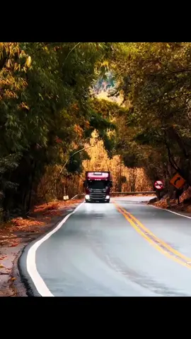 esse sorriso que sumiu da minha cara tá na cara dele😔🖤#caminhao #edit #videosdecaminhao #caminhoesqualificados #fyyyyyyyyyyyyyyyy 