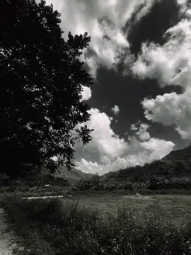 #xh#xhtiktok#fypシ゚#chill#thiennhien 