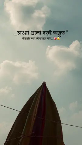 চাওয়া গুলো বড়ই অদ্ভুত পাওয়ার আগেই হারিয়ে যায়..!😅🌸#capshon_video #foyejislam007 #vairalvideo #foryou #ক্যাপশন 
