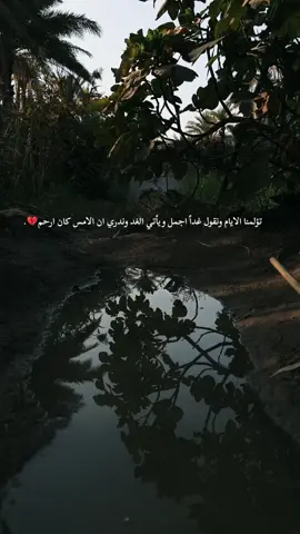 تؤلمنا الايام ونقول غداً اجمل ويأتي الغد وندري ان الامس كان ارحم💔#اقتباسات_عبارات_خواطر🖤🦋❤️ #تصويري📷 #اصحاب_العبارات_الفخمه_التعليقات_لكم،💔🥀 #مالي_خلق_احط_هاشتاقات #الشعب_الصيني_ماله_حل😂😂 