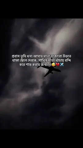 #প্রবাস তুমি ধন্য আমার মতো হাজারো উড়তে থাকা ছেলে দেরকে, পাখির মতো খাঁচায় বন্দি করে শান্ত করায় জন্য..!!😅💔✈️#fouryou#tiktok#viral#bangladesh
