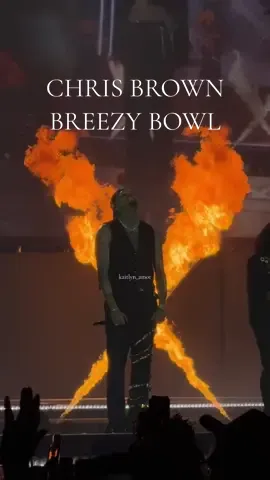 Chris Brown ends the Breezy Bowl tour in New Orleans #chrisbrown #breezybowl 