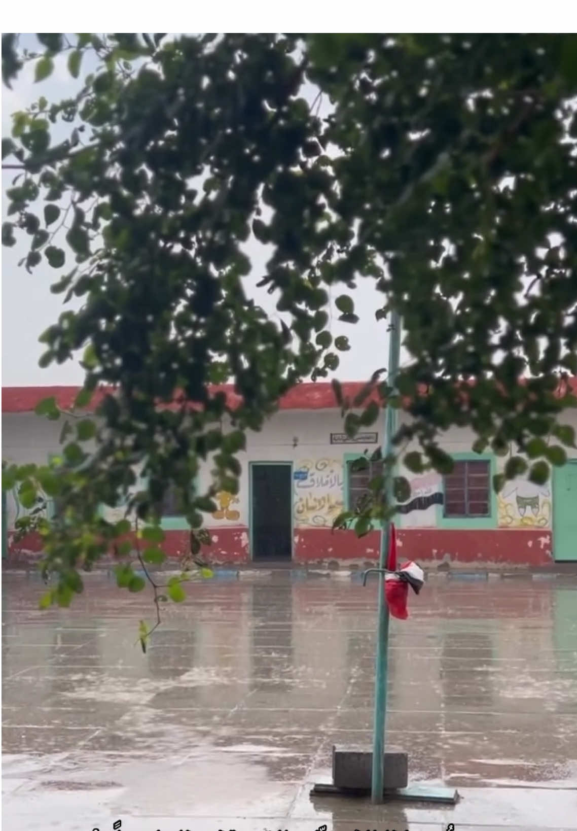 😞#الشطره #اكسبلور #fyp #بدون_موسيقى☕🖤 