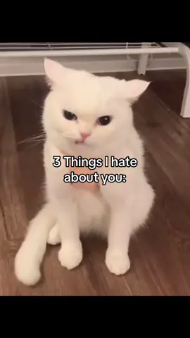 #couple #relatable #cat #fyp #you 