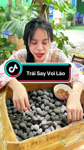Giá rẻ hơn so với các mã kia, Say Voi Lào siêu to cho ai thích To nè #fyp #talifood #sayrung #trending #review 