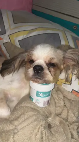 i’ve been using this for a awhile and it really helps in eliminating the odor on my pet’s face area  #petwell #eyewipes #PetsOfTikTok #fypシ゚ 