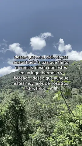 🤍🕊️🔆 #fyp #teextraño #paratii #paratii #viraltiktok 