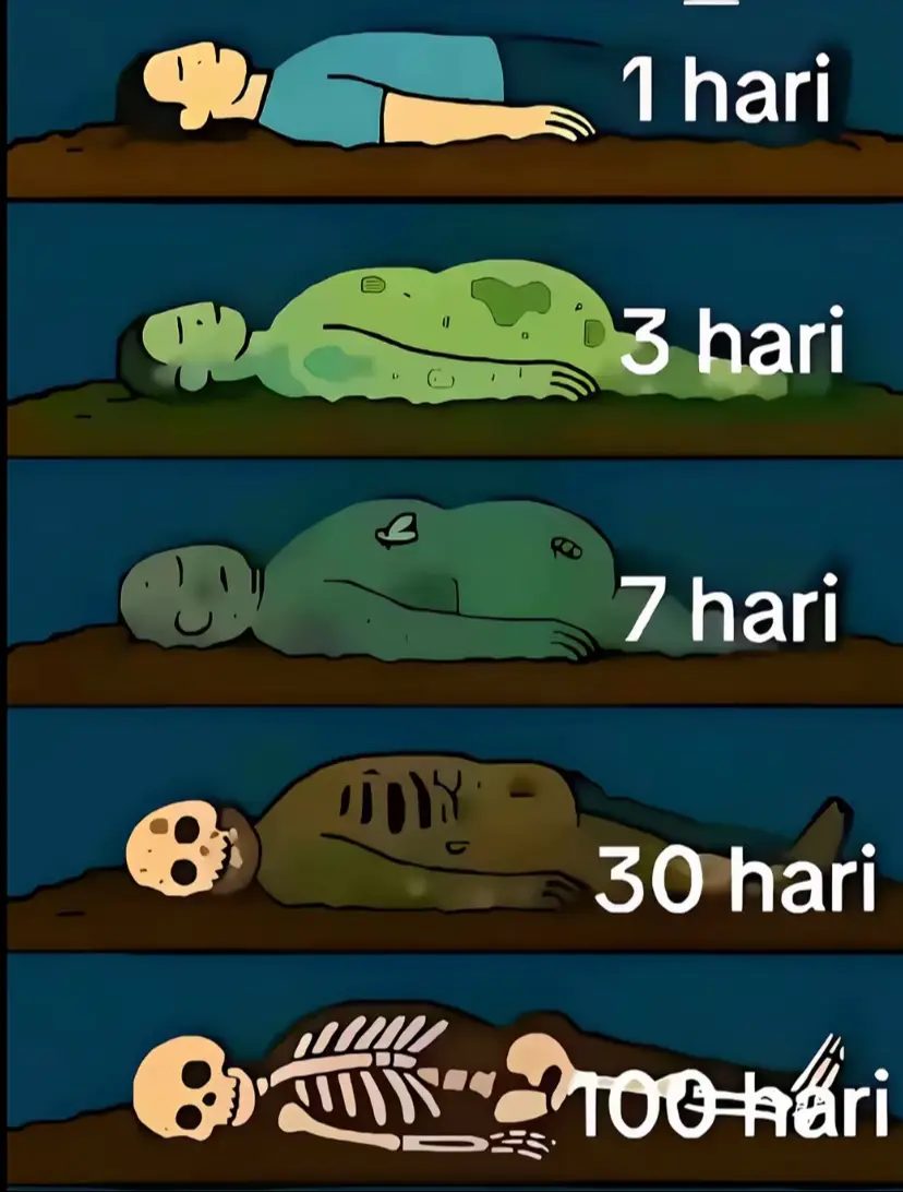 apakabarr woo❤️‍🩹🕊️#fyp #xybca 