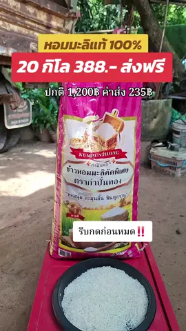 กดด่วนจ้าข้าวหอมมะลิคัดพิเศษตรากำปั่นทอง 10 แถม 10 20 กิโลกรัม 388 บาทส่งฟรีมีปลายทาง #ข้าวหอมมะลิ #ข้าวหอมมะลิตรากําปั่นทอง #ข้าวหอมมะลิคัดพิเศษ #สินค้าขายดี #พี่อ้ายขายถูกทุกอย่าง 