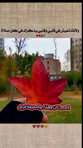 #..............…؟#الحب-الفراق#اعاده_نشر🔁 #تصميمي❤️ #تركيا_اسطنبول_العراق_سوريا_مصر #متابعه_ولايك_واكسبلور_فضلا_ليس_امر 