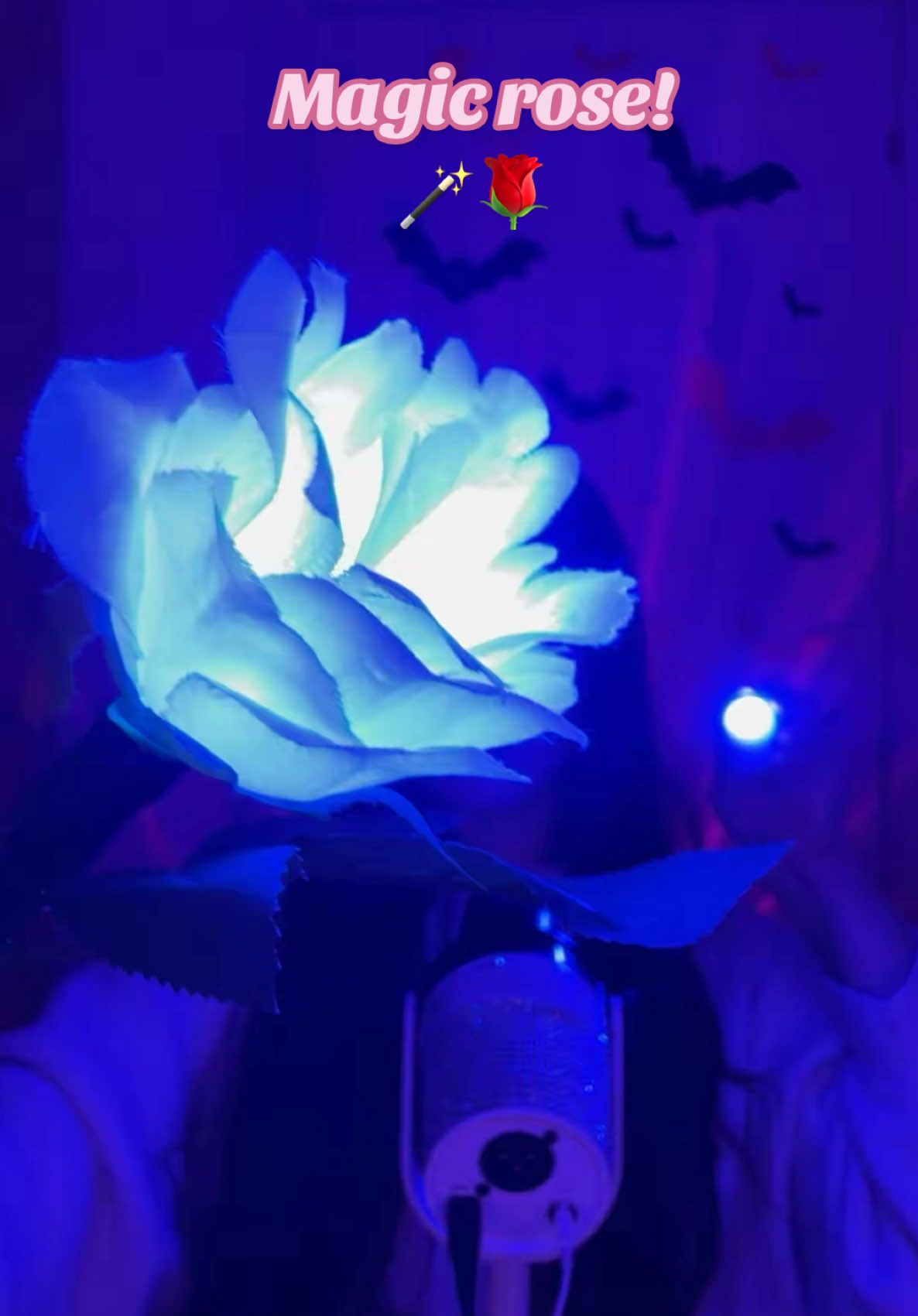 Magic rose🌹 #fyp #satisfying #relaxingvideos #relax #tingles 