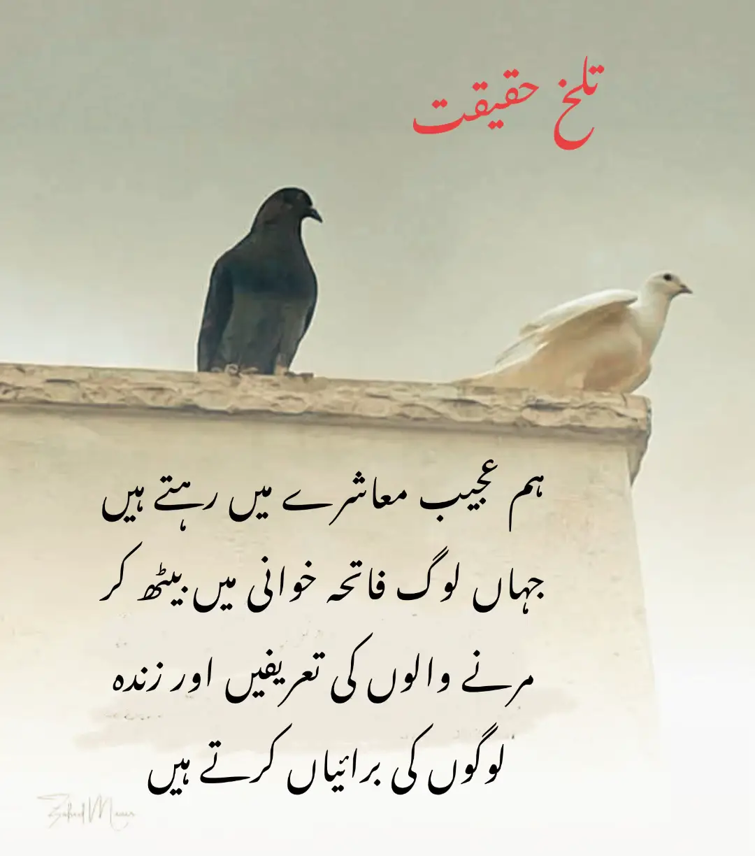 #گہری_چپ_بہت_سارے_بھرم_رکھ_لیتی #