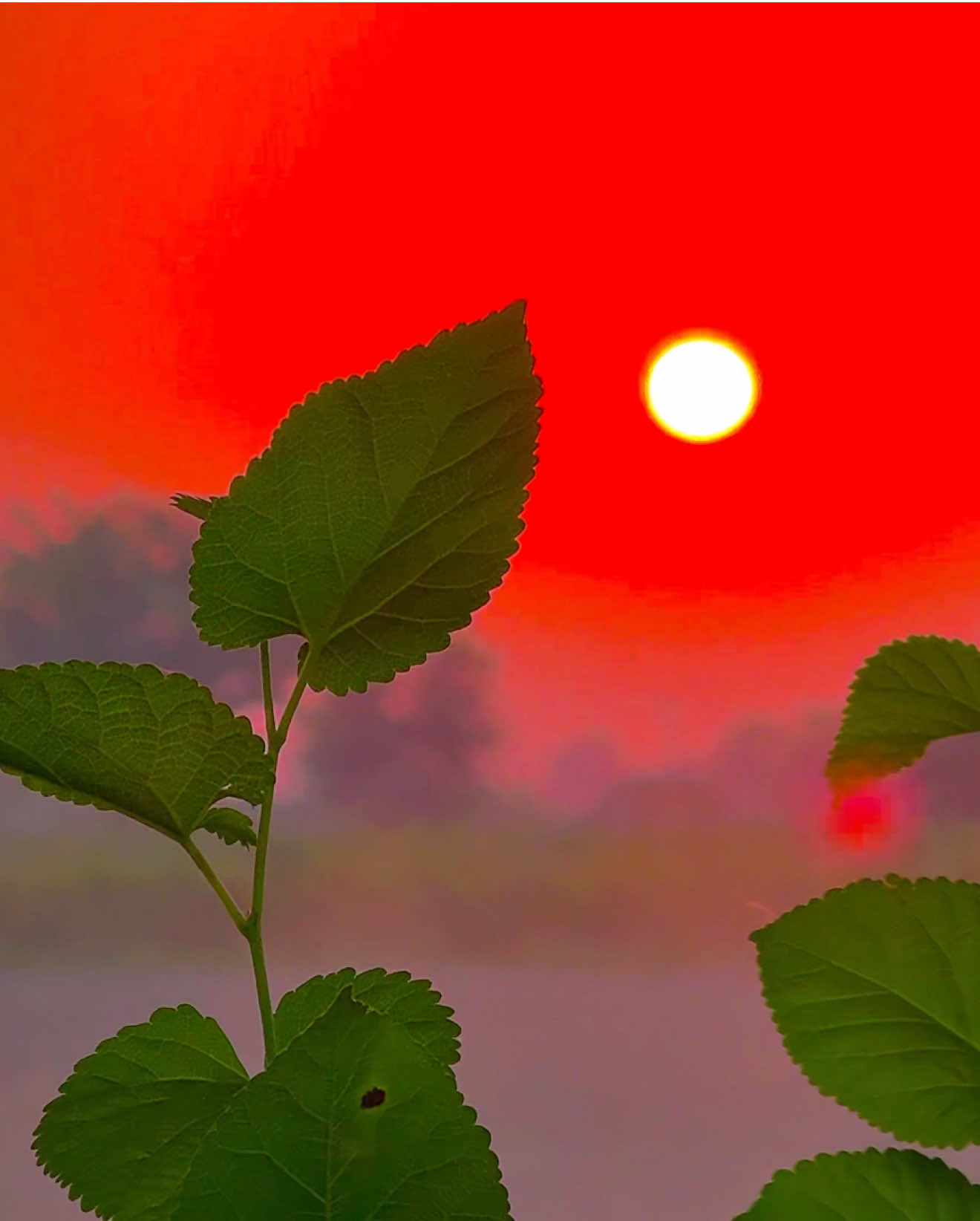 #میرا_سہنا_پنڈ_ناتھے_الہ_ضلع_بہاولنگر #pindanathayala #Trending #pendawaly_star #fyppppppppppppppppppppppp @꧁༒ℳᵻᏞᵻ༒꧂ 