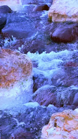 سورة يوسف #شيخ_الزين #تلاوة_خاشعة #ارح_سمعك_بالقران #قران_كريم #مشاهير_تيك_توك 